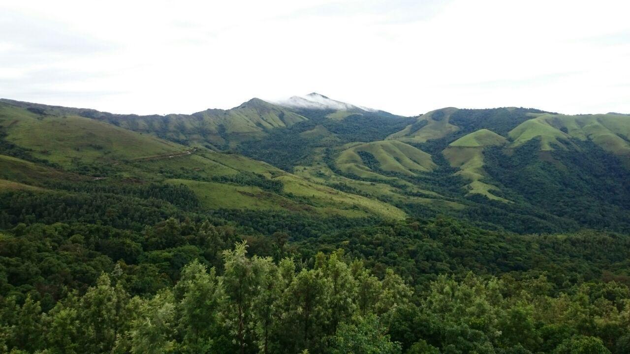 The Greenwood Resort Chikmagalur - Escape To Tranquil Mountain Views Екстериор снимка
